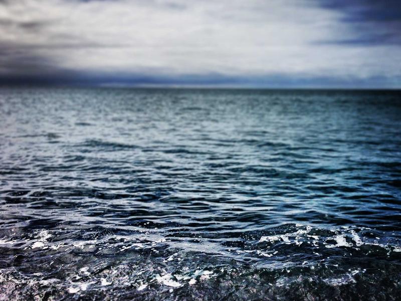 Why Knowledge is changing Consulting This Year