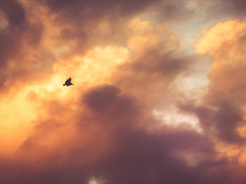 Top 14 Approaches every Operations Expert needs