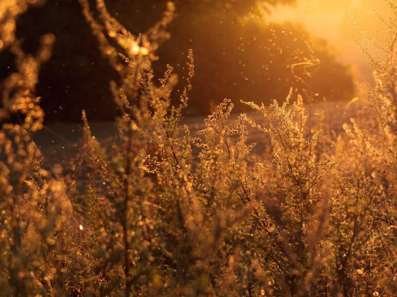 Why Wisdom is changing Publishing in 2025